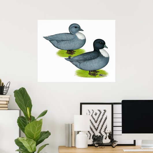 Poster Canards : Appels bleus (Bureau à domicile)