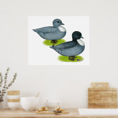 Poster Canards : Appels bleus (Cuisine)