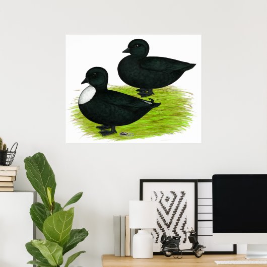 Poster Canards : Appels noirs (Bureau à domicile)