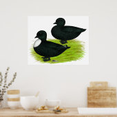 Poster Canards : Appels noirs (Cuisine)