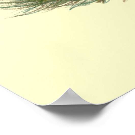 Poster Canards : Black Crested (Coin)