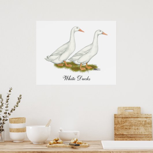 Poster Canards blancs (Cuisine)