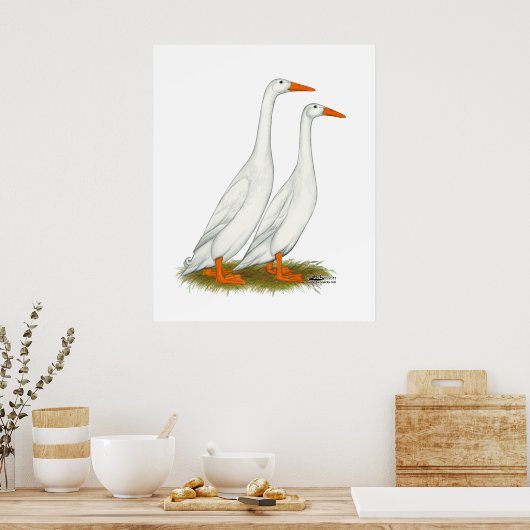 Poster Canards blancs (Cuisine)