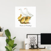 Poster Canards blancs et canards blancs (Bureau à domicile)