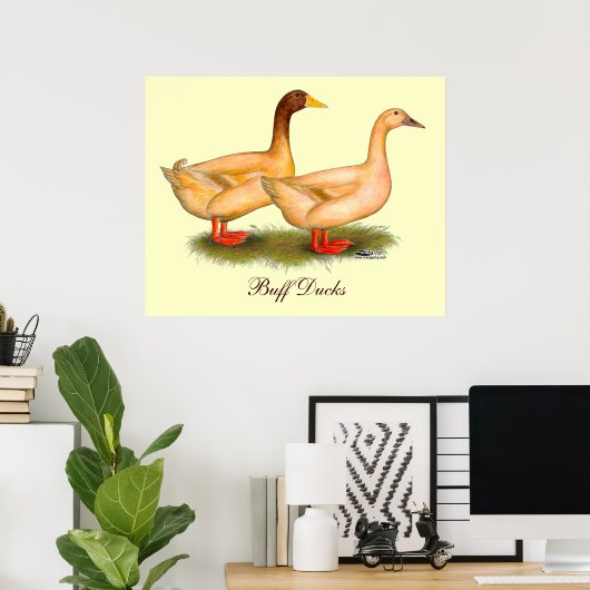 Poster Canards : Buff Orpington (Bureau à domicile)