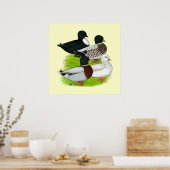 Poster Canards : Call Quartet (Cuisine)