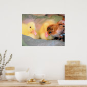 Poster Canards caricaturaux et poussins (Cuisine)