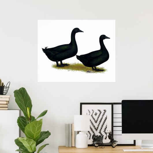 Poster Canards : Cayugas noirs (Bureau à domicile)