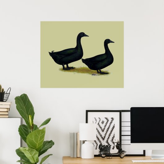 Poster Canards : Cayugas noirs (Bureau à domicile)