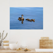 Poster Canards colverts (Cuisine)