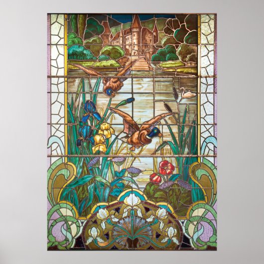 Poster Canards colverts en verre (Devant)