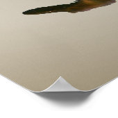 Poster Canards colverts. Loyauté (Coin)