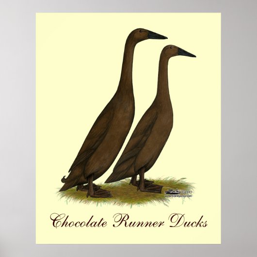 Poster Canards coureurs de chocolat (Devant)