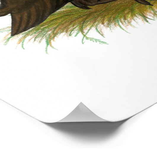 Poster Canards coureurs de chocolat (Coin)