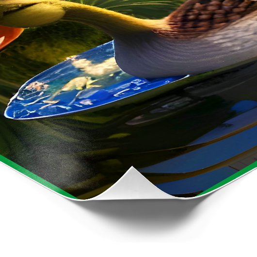 Poster Canards dans l'étang (Coin)