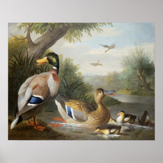 Poster Canards dans un paysage fluvial (Devant)