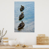 Poster Canards dans une rangée (Cuisine)
