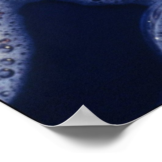 Poster Canards dans une rangée (Coin)