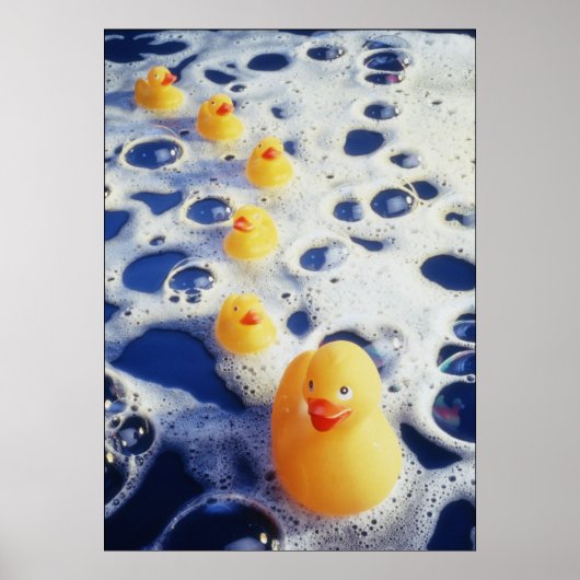 Poster Canards dans une rangée (Devant)