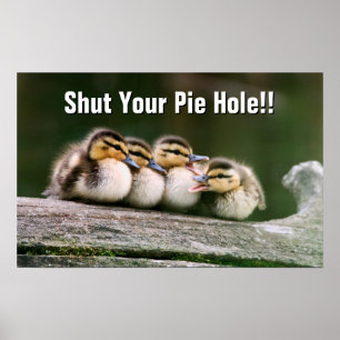 Poster Canards de bébé