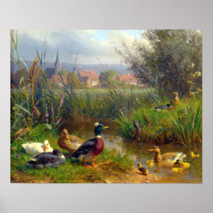 Poster Canards de Karl Jutz