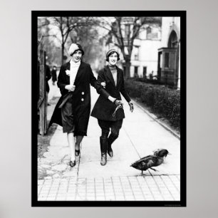 Poster Canards de marche à Washington, dc 1926