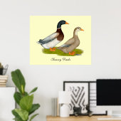 Poster Canards de Saxe (Bureau à domicile)