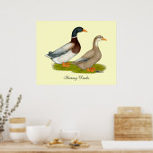 Poster Canards de Saxe (Cuisine)