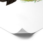 Poster Canards : Émeri Penciled Runners (Coin)