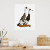 Poster Canards : Émeri Penciled Runners (Cuisine)