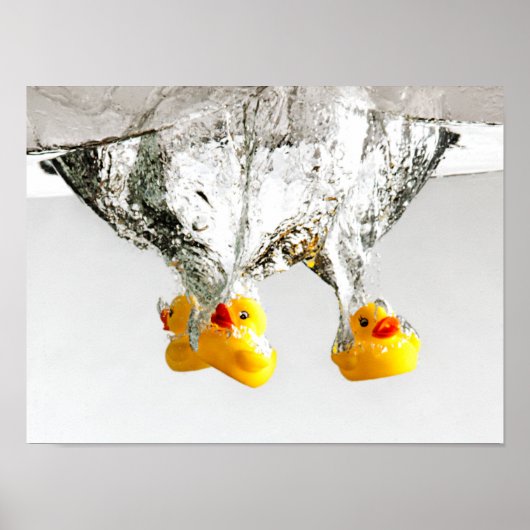 Poster Canards en caoutchouc (Devant)