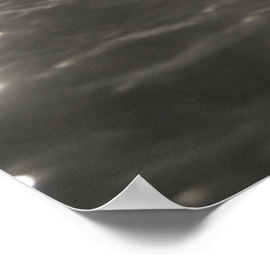 Poster Canards en caoutchouc japonais (Coin)