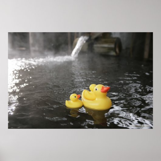 Poster Canards en caoutchouc japonais (Devant)