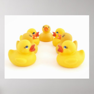 Poster Canards en caoutchouc jaune