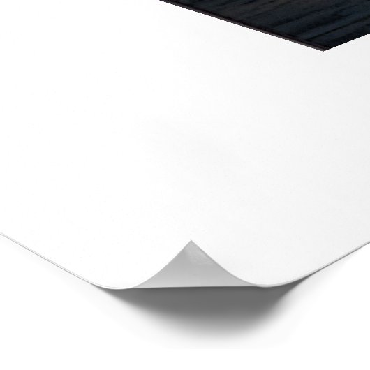 Poster Canards en vol (Coin)