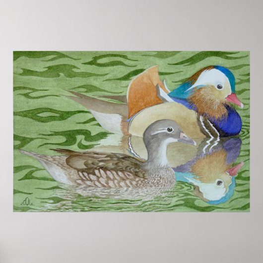 Poster Canards mandarins sur un lac (Devant)