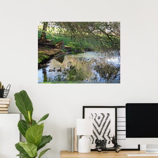 Poster "Canards nicheurs" (Bureau à domicile)