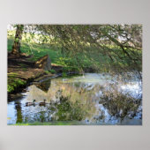 Poster "Canards nicheurs" (Devant)