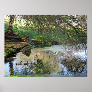 Poster "Canards nicheurs"