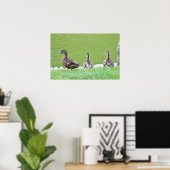 Poster Canards par Pond (Bureau à domicile)