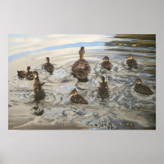 Poster Canards qui nagent (Devant)