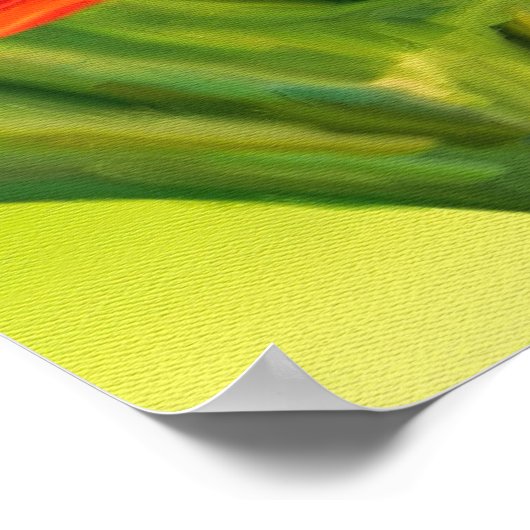 Poster Canarie jaune nom Holly (Coin)