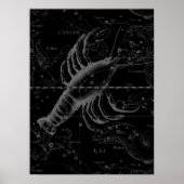 Poster Cancer Constellation Vintage Engraving Hevelius (Devant)