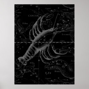 Poster Cancer Constellation Vintage Engraving Hevelius