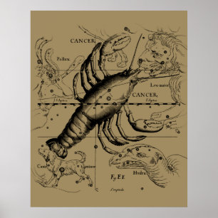 Poster Cancer Zodiac Constellation par Hevelius 1690