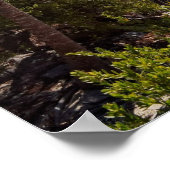 Poster Cancun Mexique (Coin)