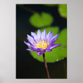 Poster Cancun, Mexique (Devant)