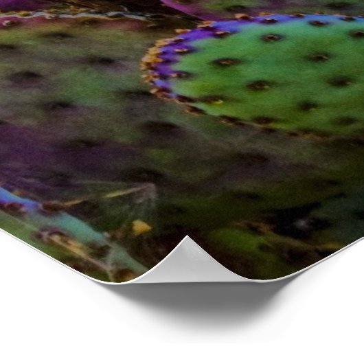 Poster Candy Cactus (Coin)