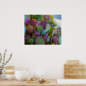 Poster Candy Cactus (Cuisine)