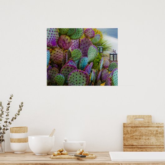 Poster Candy Cactus (Cuisine)